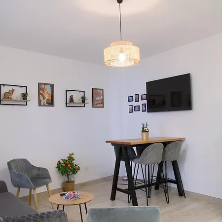 Carol Apartment *